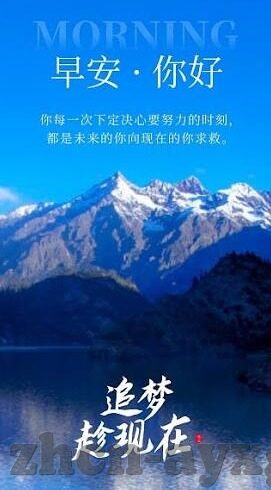 总裁足球比分直播-总裁视角下的足球比分直播，一场数据与激情的碰撞盛宴